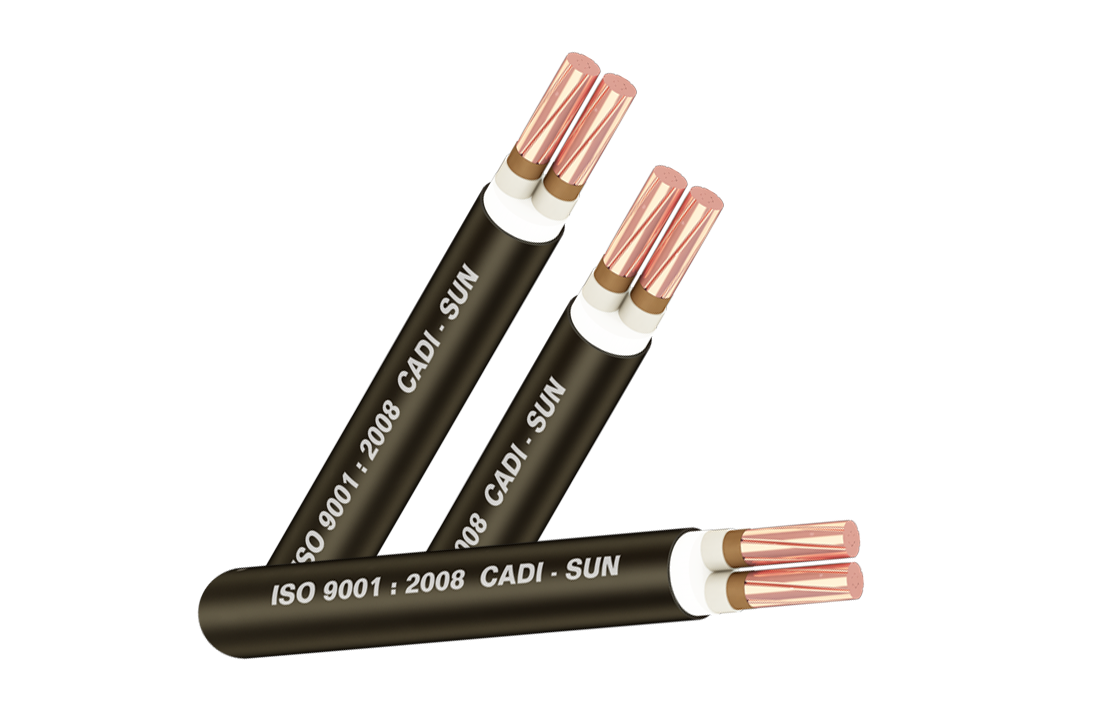 Cáp chống cháy FRN-CXV 2x1.5; Cáp chống cháy FRN-CXV 2x2.5; Cáp chống cháy FRN-CXV 2x4.0; Cáp chống cháy FRN-CXV 2x6.0; Cáp chống cháy FRN-CXV 2x10; Cáp chống cháy FRN-CXV 2x16; Cáp chống cháy FRN-CXV 2x25 ; Cáp chống cháy FRN-CXV 2x35; Cáp chống cháy FRN-CXV 2x50; Cáp chống cháy FRN-CXV 2x70; Cáp chống cháy FRN-CXV 2x95; Cáp chống cháy FRN-CXV 2x120; Cáp chống cháy FRN-CXV 2x150; Cáp chống cháy FRN-CXV 2x185; Cáp chống cháy FRN-CXV 2x240; Cáp chống cháy FRN-CXV 2x300; Cáp chống cháy FRN-CXV 2x400; Cáp chống cháy FRN-CXV 2x500; Cáp chống cháy FRN-CXV 2x630; Cáp chống cháy FRN-CXV 2x800 